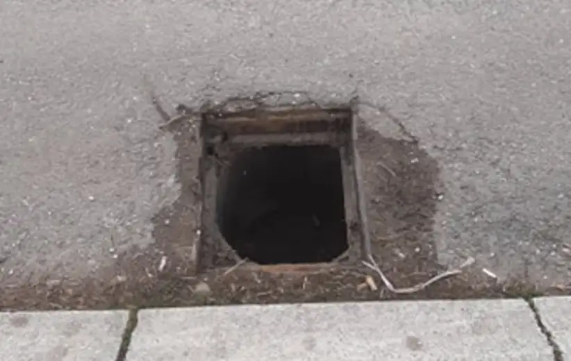 Oprez: Ukraden poklopac slivnika u ulici Nikole Pašića