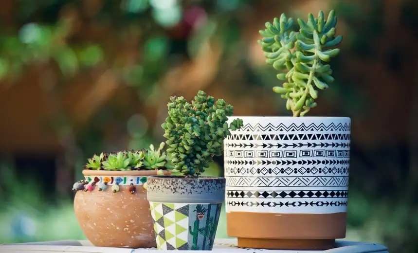 Evo kako da opremite dvorište i kreirate svoju oazu mira