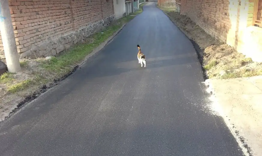 U Salašu asfaltirana ulica dužine 430 metara: Vrednost radova 2.700.000 dinara