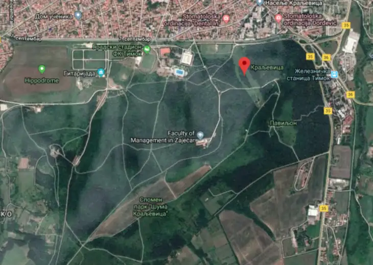 DALEKI ISTOK RAZUMA – NIČIĆ- RUSI- INTERNAT