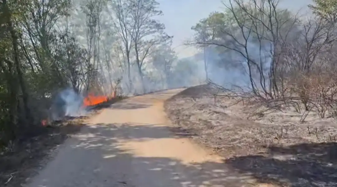 Vatrena stihija "progutala" je više stotina hektara šuma, niskog rastinja, voćnjaka i oranica