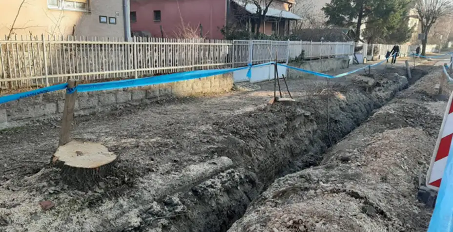Počela seča lipa: Nastavljena rekonstrukcija ulice Ivana Milutinovića