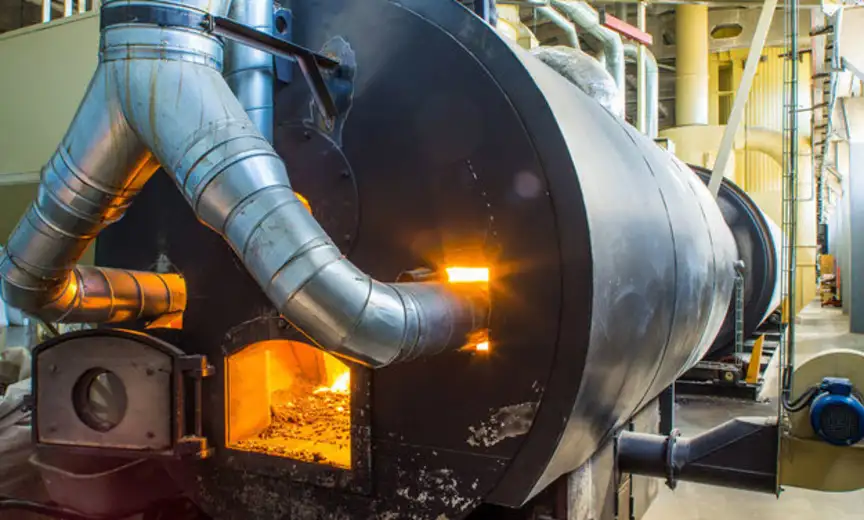 Razvoj sistema daljinskog grejanja na biomasu - Zaječar planira izgradnju dve kotlarnice