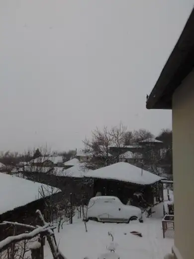 "Foto otisak" snežne nemani koja je napala istok Srbije!