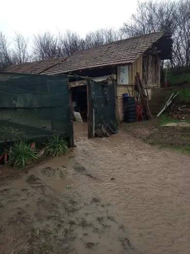 Zbog nedovršenog kanala voda se sliva u dvorište: Treća poplava domaćinstva Slavice Svetozarević u Vražogrncu