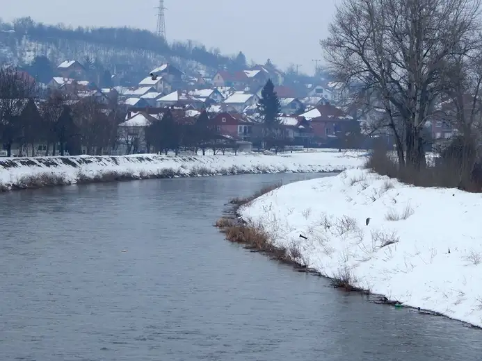 Neobični posetioci sa juga i severa na Popovoj plaži