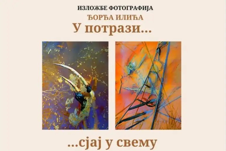 U Pozorišnom muzeju u Zaječaru biće otvorena izložba Đorđa Ilića, pod nazivom " U potrazi... Sjaj u svemu"