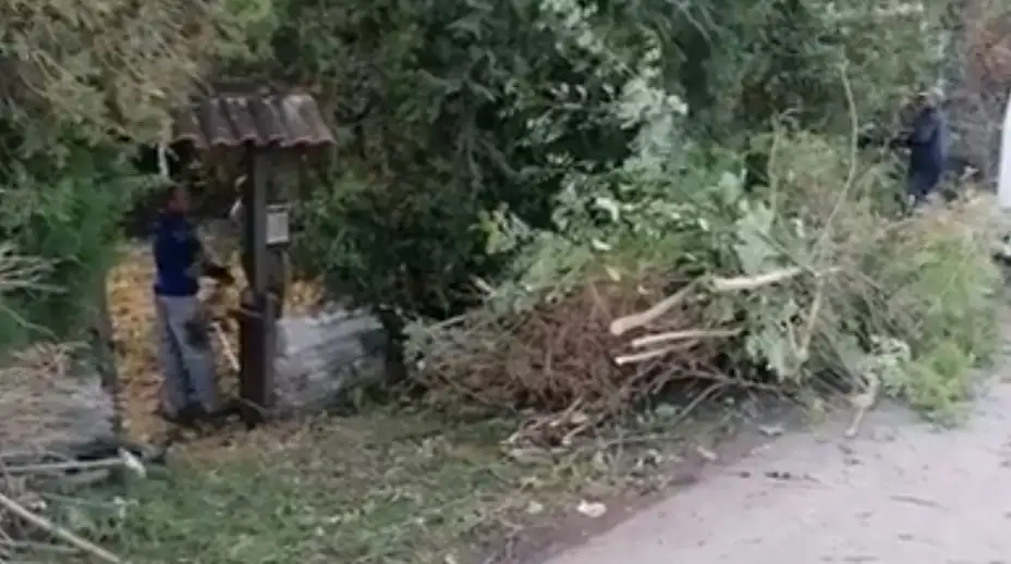 Nakon pisanja portala Glas Zaječara, uređuje se etno kuća "Dom Sergija Kalčića" u Velikom Izvoru