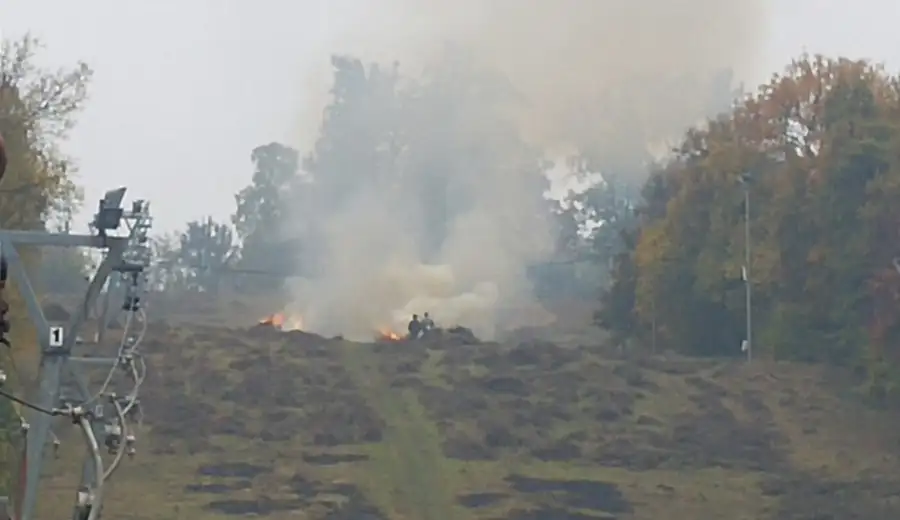 Zabranjeno paljenje vatre u šumi: Da li važi i za Zaječar?