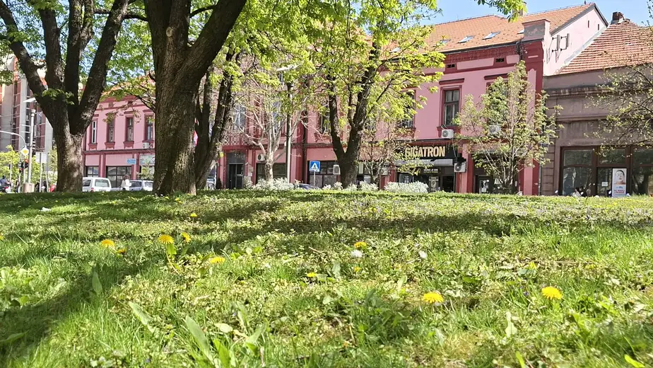 Održana 37. sеdnica Privrеmеnog organa grada Zajеčara