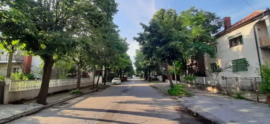 Gradska uprava Zaječar sprovešće anketu: Građani će se izjašnjavati „za“ i „protiv“ rekonstrukcije ulice