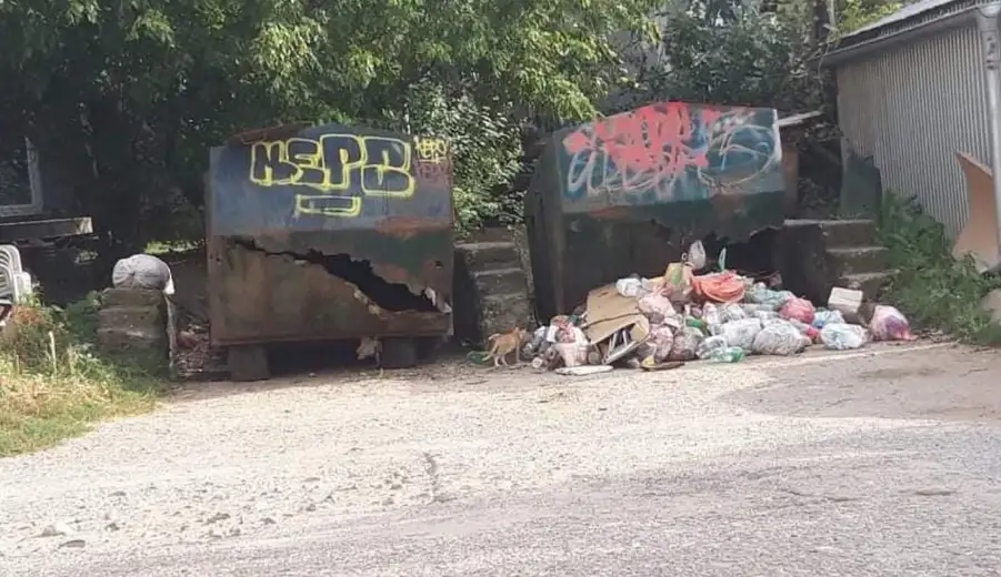 Prijavi problem: Da li od nas očekuju da lopatama ubacimo smeće u kontejner?