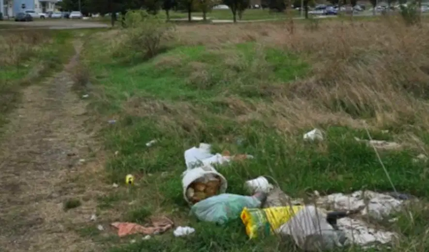 Prijavi problem: (Ne)savesni građani opet bacaju smeće na Kraljevici