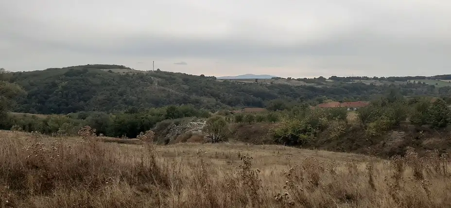 FOTO VEST: Smetlište kraj puta Zaječar - Bor