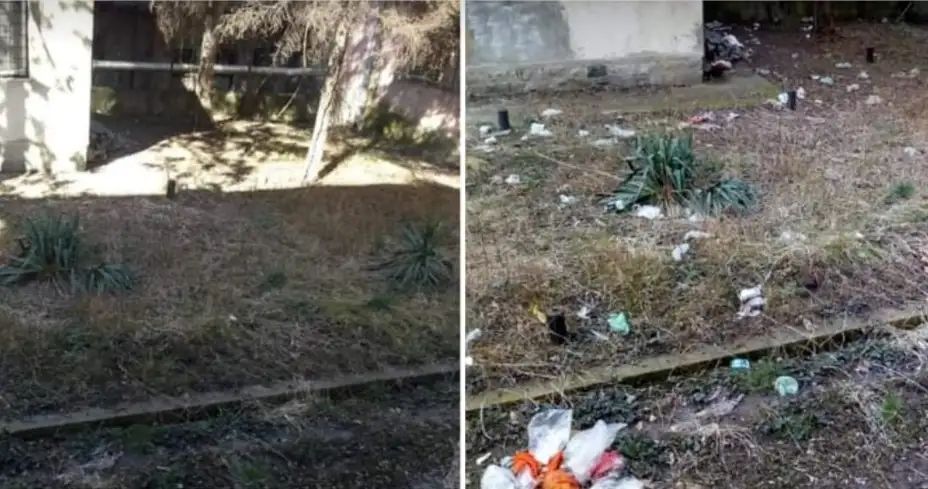 Dan nakon pisanja portala Glas Zaječara očišćeno smeće iz centra grada