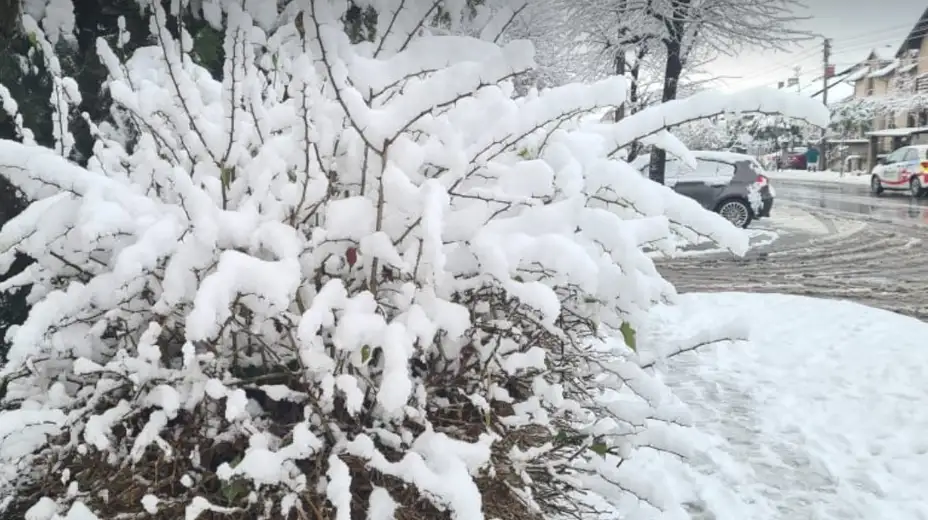 U Zaječaru hladno, oblačno sa snegom