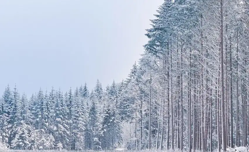 Na Kopaoniku pada sneg, RHMZ izdao upozorenje za delove Srbije