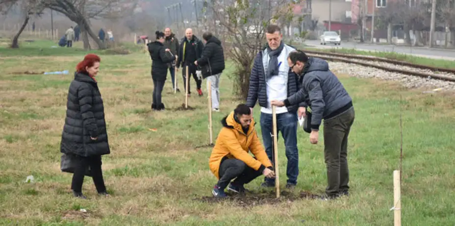 Srpska napredna stranka u Zaječaru organizovala akciju sadnje