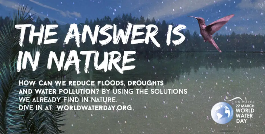 Svetski dan vode: Odgovor se nalazi u prirodi!