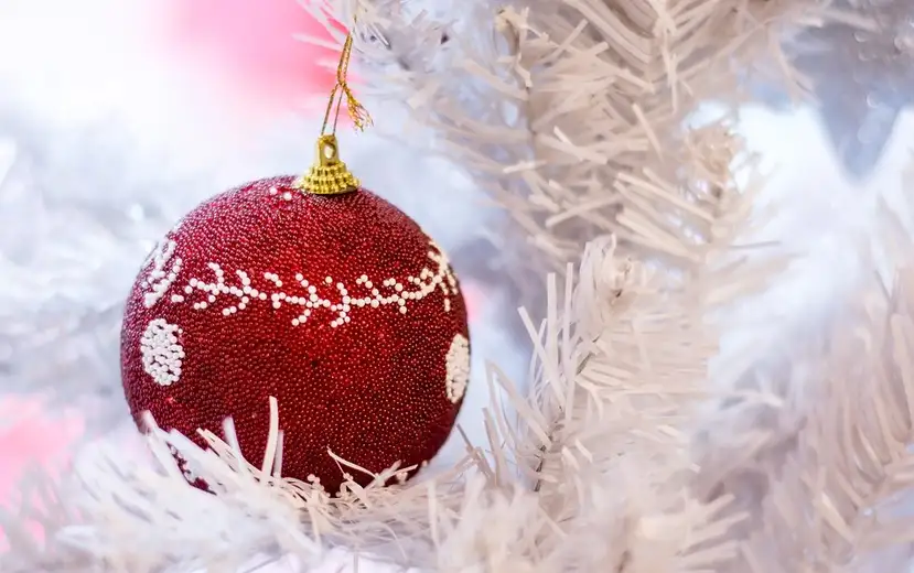 Novogodišnja čestitka: Tačno. Jasno. Glasnije - i u 2021.