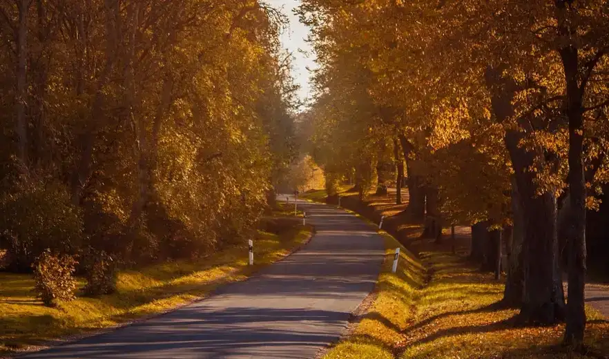 Stanje na putevima: Umeren saobraćaj i suvi kolovozi