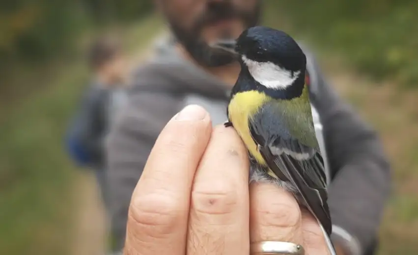 Evropski vikend posmatranja ptica i u Zaječaru