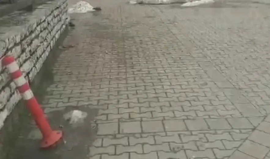 Ko je nadležan za održavanje horizontalne i vertikalne signalizacije u centru Zaječara? (VIDEO)