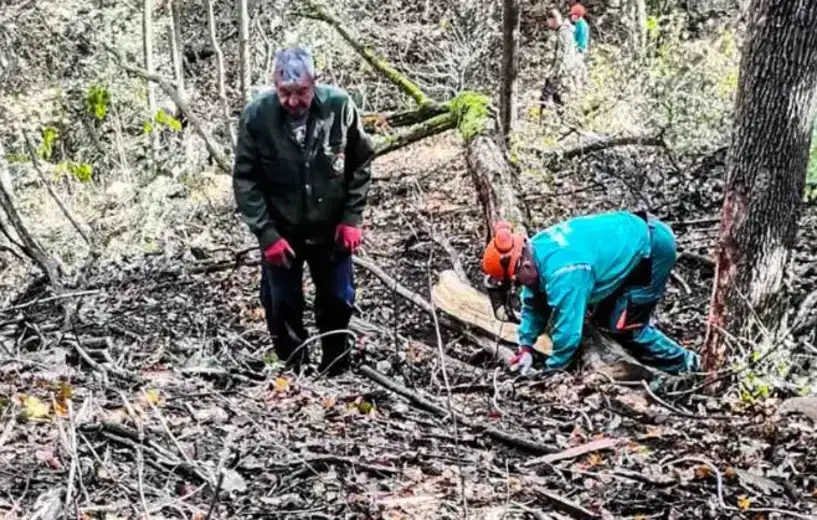Nastavlja se sanitarno-uzgojna seča u Park šumi "Kraljevica"