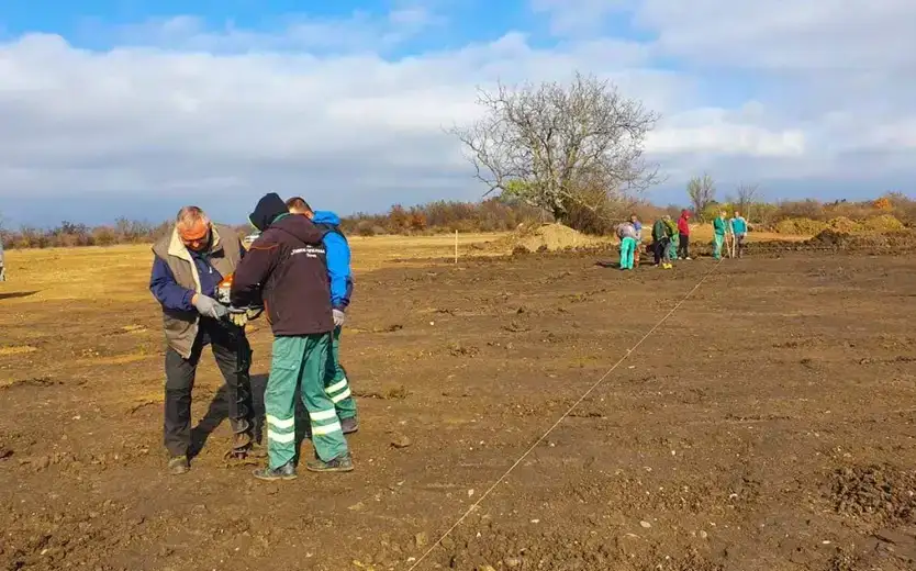 Javno komunalno preduzeće “Timok održavanje” počelo je sa realizacijom projekta pošumljavanja dela "Kraljevice"