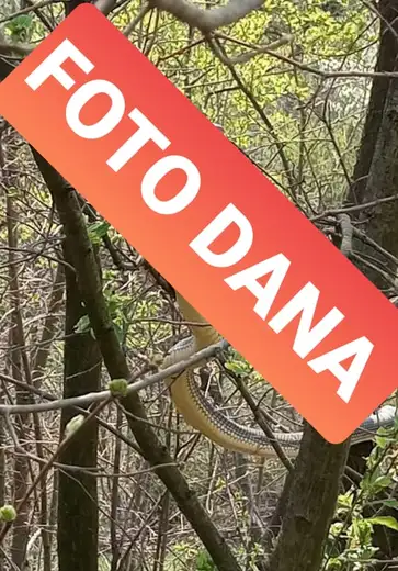 FOTO DANA: Sunce je probudilo...