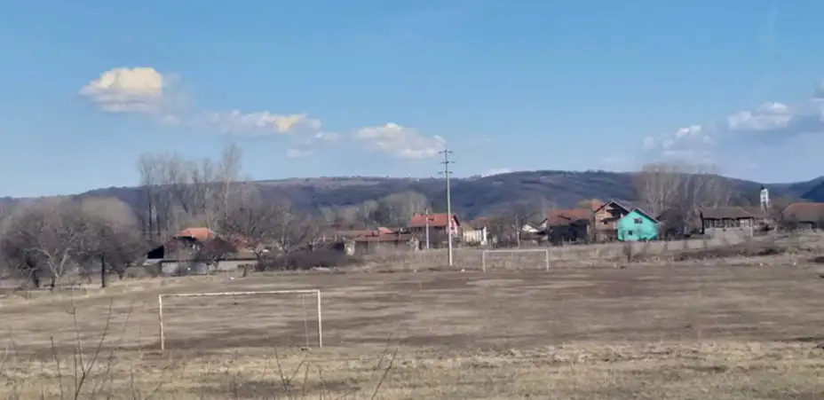 Upoznajte Džoa: Njegova ljubav prekinula je utakmicu (FOTO + VIDEO)