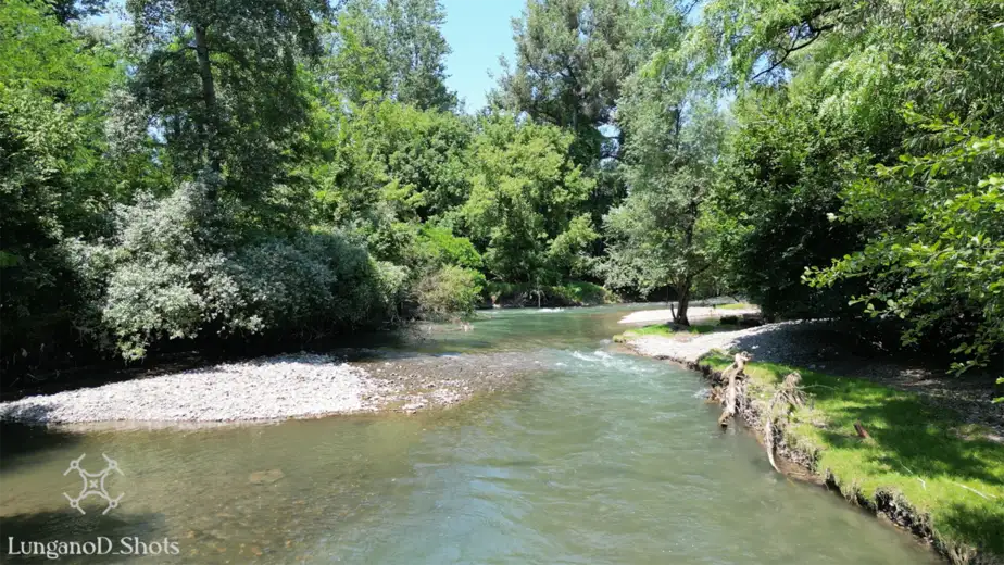 Eko Istok započinje mapiranja biodiverziteta na području Zaječara