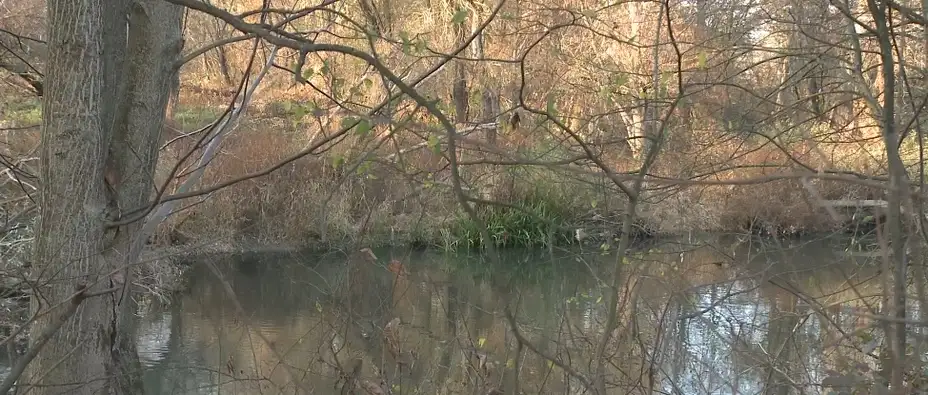 Reka naša nasušna: Timok nije što je nekad bio