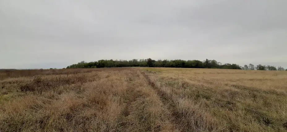 Dragulj srpske vojne arhitekture skriven je u šumi kod Nikoličevske banje
