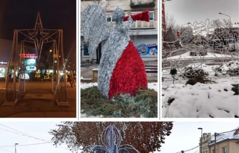 ZAokret019: Podnete krivične prijave protiv odgovornih lica iz JKP "Timok održavanja" za zloupotrebu u javnoj nabavci parkovskih ukrasa