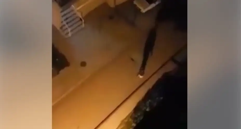 Potić: Zbog objavljenog snimka brinem za bezbednost svoje porodice