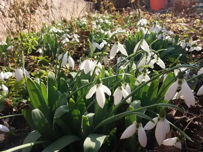 Pretežno sunčano i toplo vreme