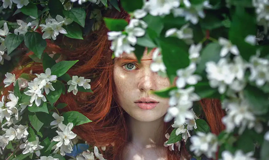 Konkurs za najlepšu Vlajnu Balkana