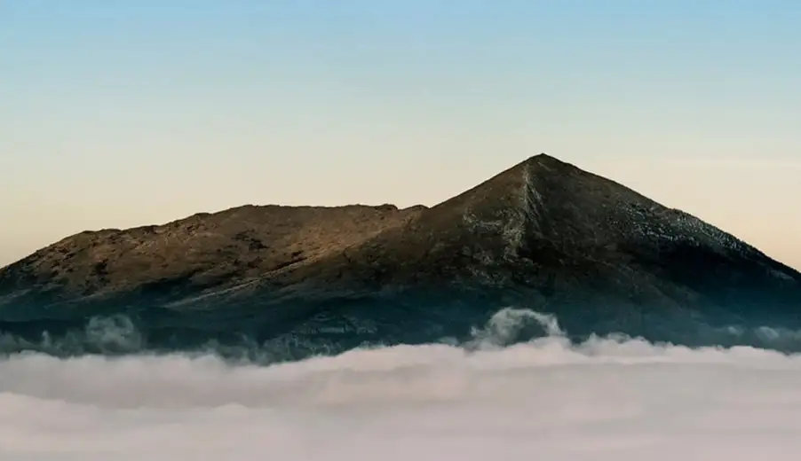 Greenstock – za zeleni Istok: Zaječarska inicijativa okuplja i podržava ekološke pokrete iz regiona