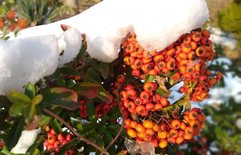 I danas hladno sa sunčanim intervalima