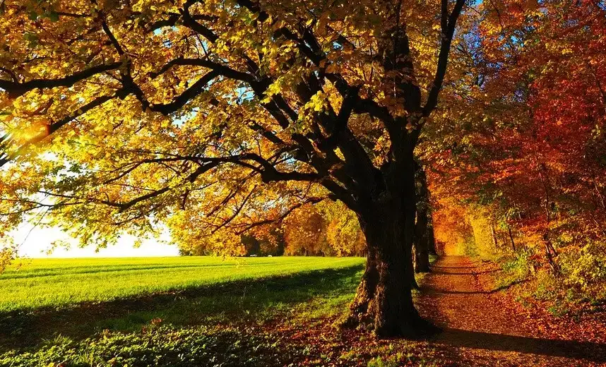 U Zaječaru danas promenljivo oblačno vreme