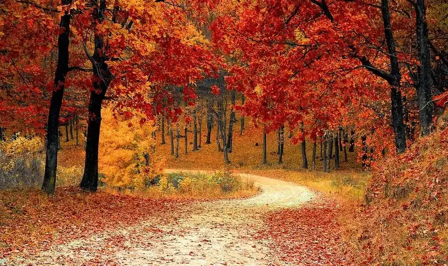 Promenljivo vreme danas u Zaječaru