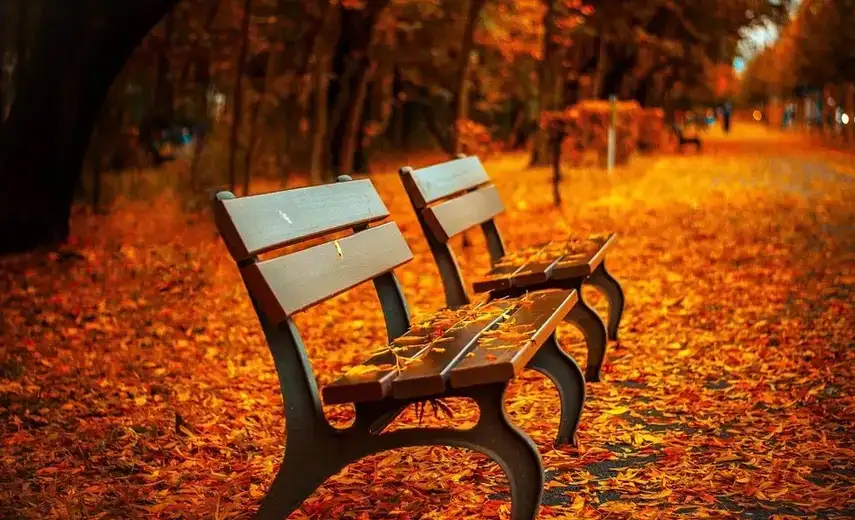 U Zaječaru sunčano vreme sa temperaturom do 25c