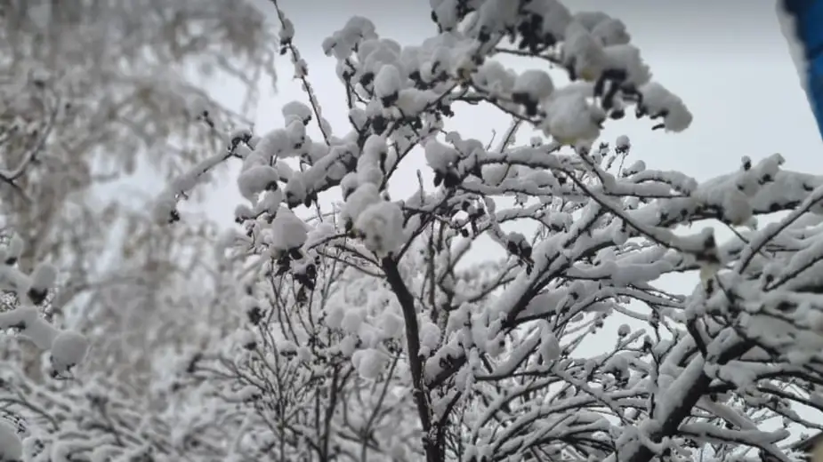 U Zaječaru danas oblačno i hladno vreme bez padavina