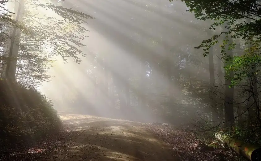 U Zaječaru danas sunčano sa temperaturom do 7c