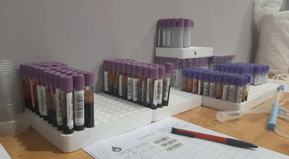 U Zaječaru održane dve akcije dobrovoljnog davanja krvi