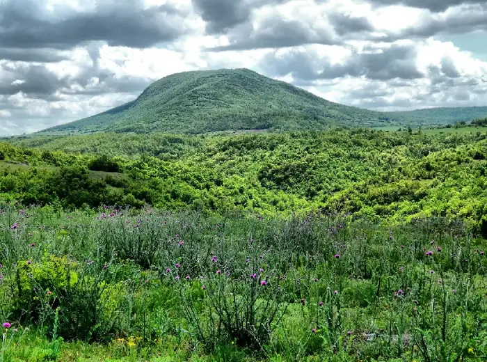 Republička akcija „Stazama Stare planine“ 14. avgusta