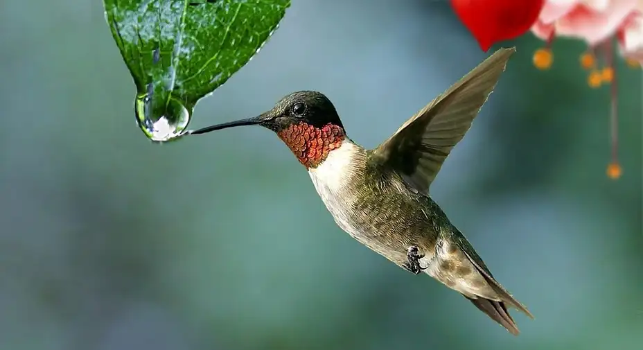 Čudesna sudbina gospodina Pecarskog: Uticaj ekstremno niskih temperatura na centralni nervni sistem