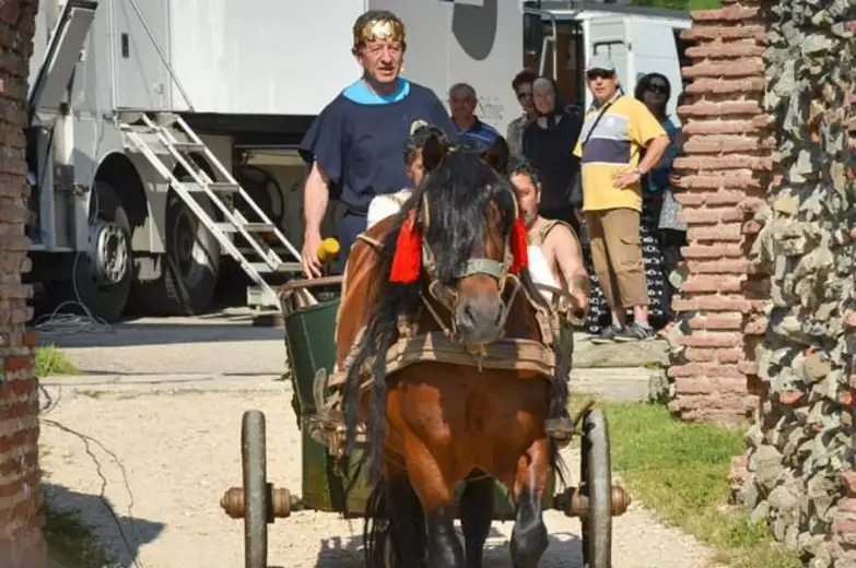 Zaječarska šarenica