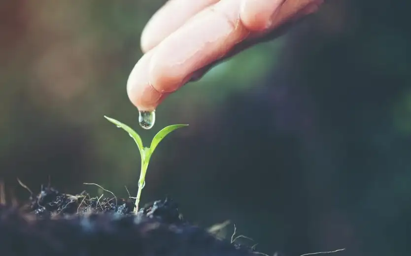 Kako da odaberete pravu pumpu za vodu za vaš dom?